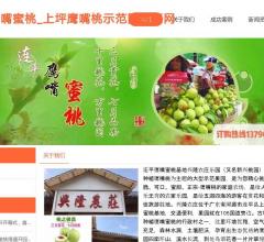 广东连平鹰嘴蜜桃直销