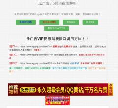 视频解析站