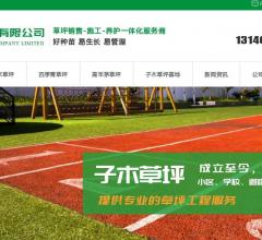 子木草坪-郑州四季青草坪种植